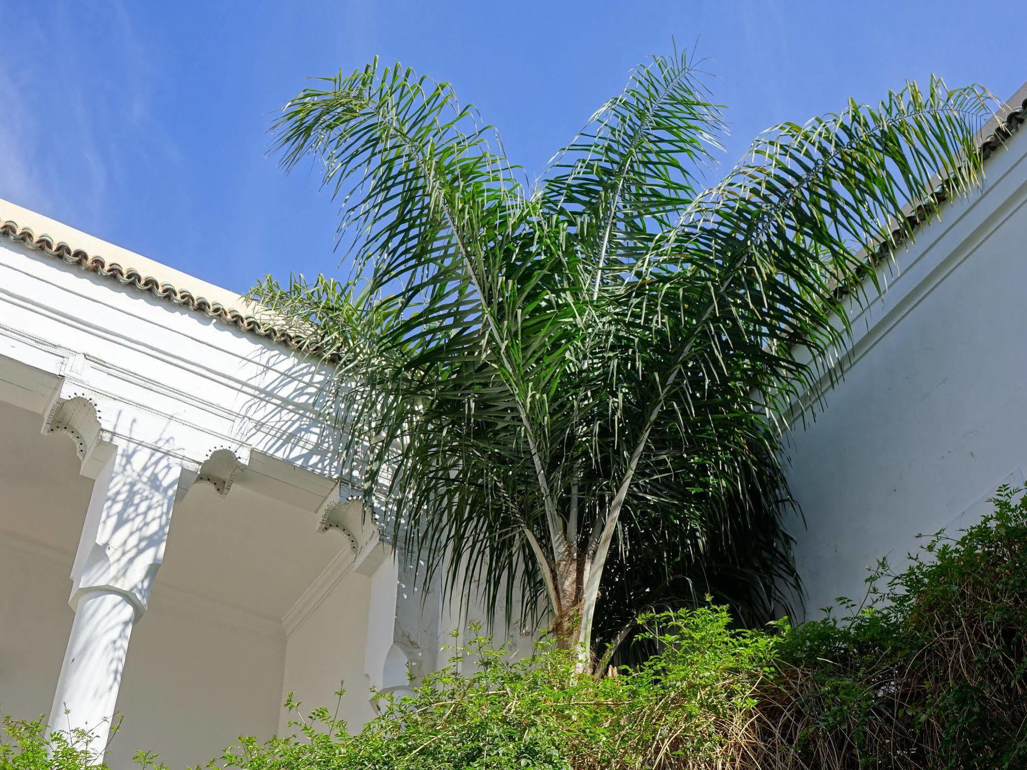 Riad Al Assala Марракеш Экстерьер фото